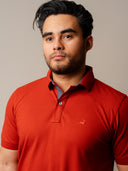 Polo Zikno Shedron